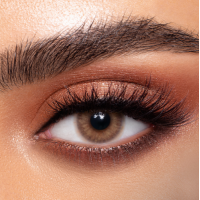 عدسات لاصقة ملونة يومية - كات أي 14 - من ذهب