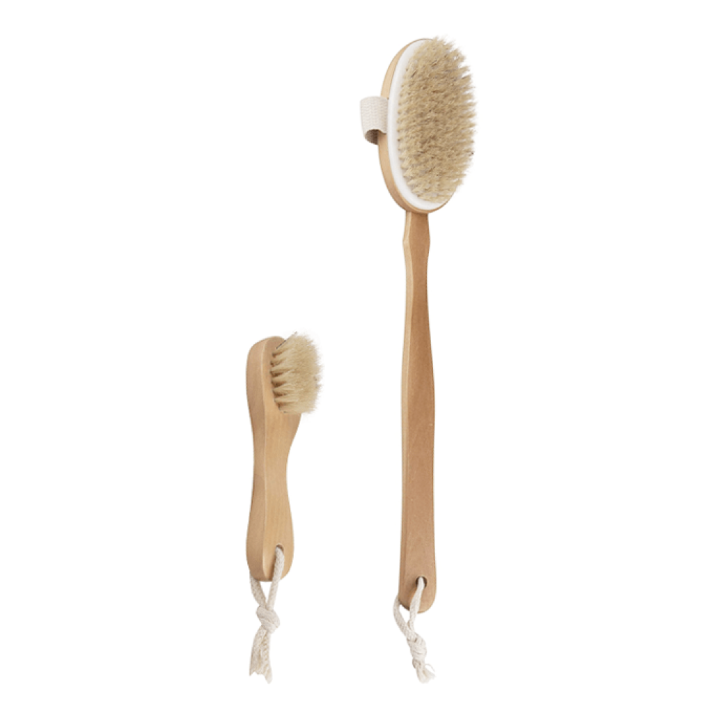 فرشاة جافة للتنظيف من سيفيزا - 2 قطعة