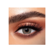 عدسات يومية من ذهب صابرين جراي جرين 5