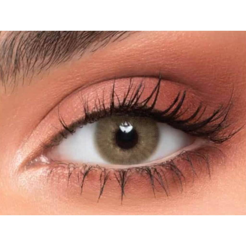 عدسات ملونة من نيو لنس - صنسيت