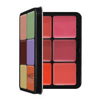 مجموعة خافي العيوب والخدود ١٢ لون - ميك اوفر 22