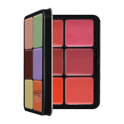 مجموعة خافي العيوب والخدود ١٢ لون - ميك اوفر 22